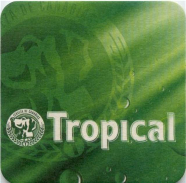 santa cruz ic-e ccc tropical quad 4-5a4bb (200-hg grn-logo links) 